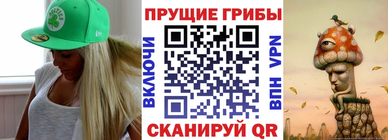 Купить Андреаполь Галлюциногенные грибы мухоморы